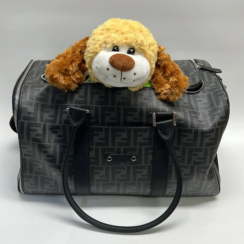 FENDI pet carrier